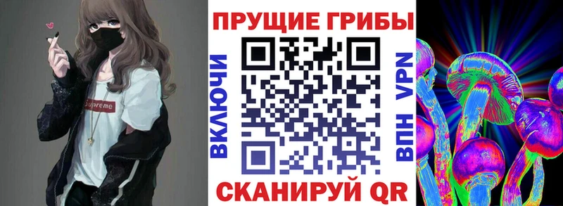 Галлюциногенные грибы Psilocybine cubensis  Бугульма 