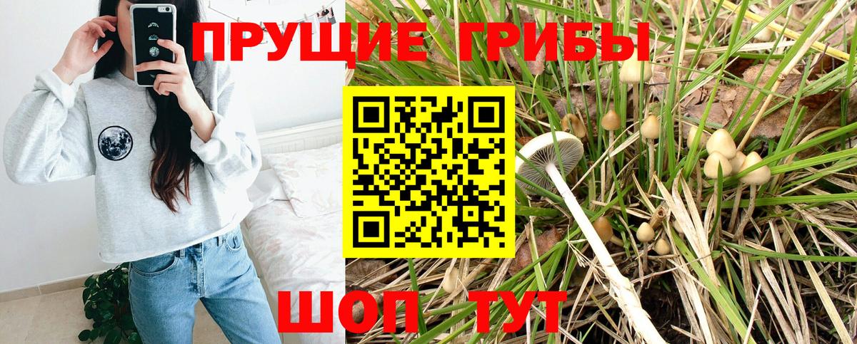 Галлюциногенные грибы мицелий  Псилоцибиновые грибы ЛСД  Бугульма 