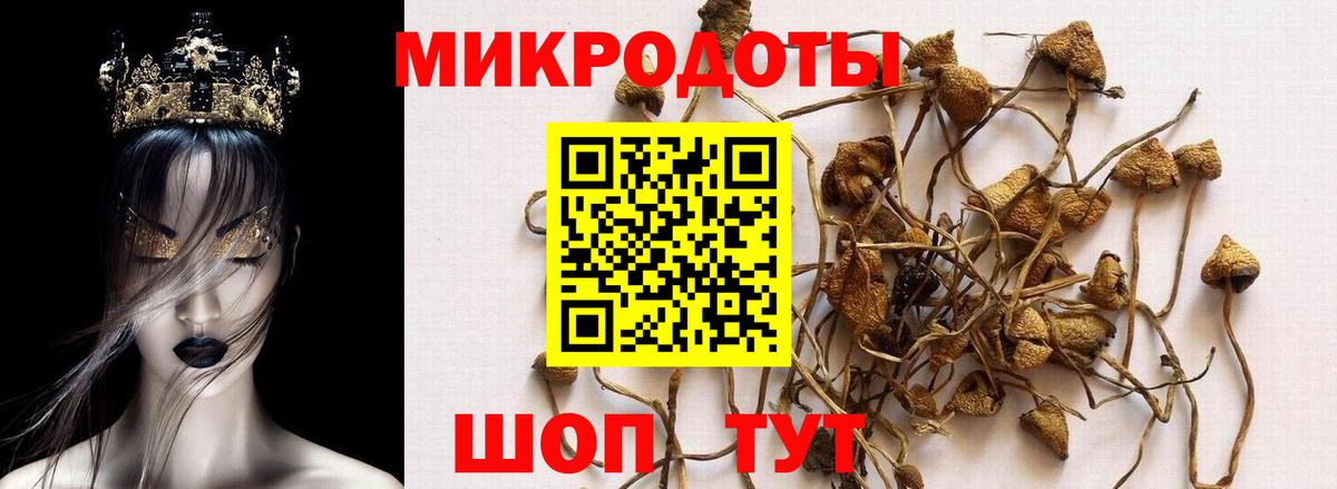 Псилоцибиновые грибы прущие грибы Бугульма