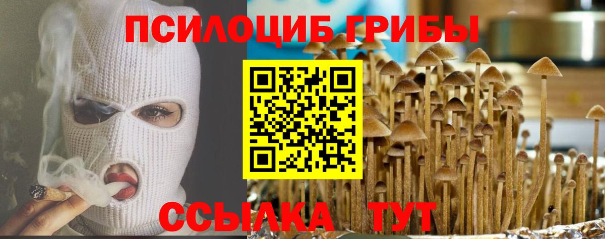 Псилоцибиновые грибы Magic Shrooms Бугульма